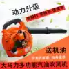 Portable two-stroke gasoline engine Hair dryer Blower Greenhouse snow blower Road dust blower Sweep leaves