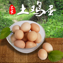 30 farm free-range soil eggs Xinyang Guangshan specialty stupid eggs fresh grass eggs