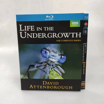 Spot bushes under the life Chinese subtitle 2 dish packed BD blue light