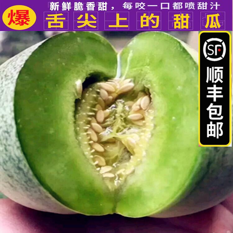 Shunfeng 10 catties Hubei fresh fruit thin peel fragrant melon green jewel melon when season white green leather crisp and sweet