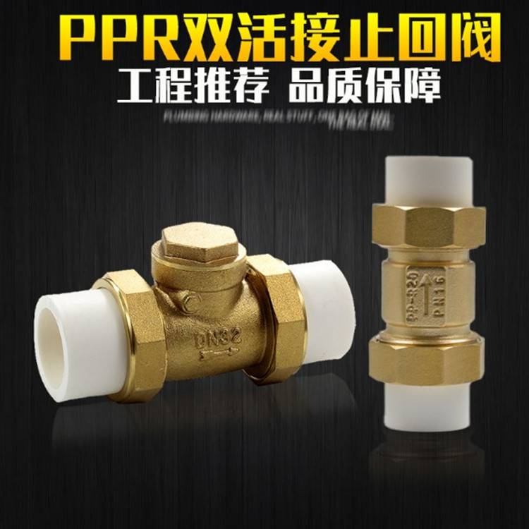 PPR check valve brass horizontal vertical check valve backstop valve water pipe pipe fittings pipe fittings