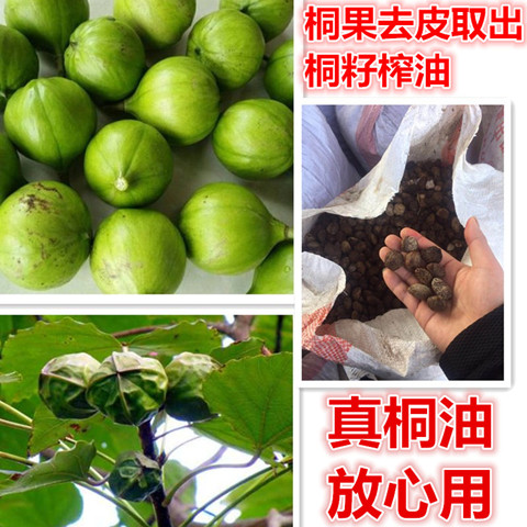 Xiao's cooked tung oil raw tung oil wood furniture door and window floor waterproof and anti-corrosive and protective and protective quality cooked tung oil