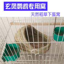 Xuanfeng large natural Birds Nest warm Xuanfeng parrot special nest breeding Hatch monk Golden Sun Bird supplies