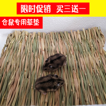 Pet hamster nest mat Summer Special Four Seasons general warm three-line golden bear silver fox toy summer supplies