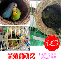 Birds nest straw nest hanging nest tiger skin peony Nest Nest warm parrot nest breeding Pearl bird grass nest utensils small