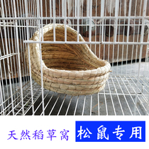 Demon King squirrel nest summer warm Cubs small nest golden flower summer small house large red belly yellow mountain winter supplies