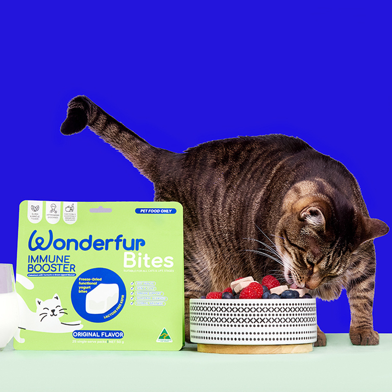 wonderfur猫咪高活益生菌澳洲进口kefir菌调理肠胃软便宠物专用