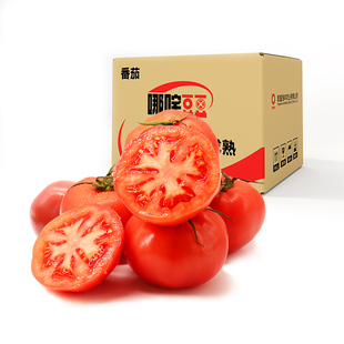 【哪咤豆豆】普罗旺斯新鲜自然熟西红柿5斤