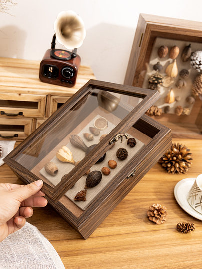 Three-Dimensional Hollow Specimen Photo Frame Dried Flower DIY Display Frame Insect Plant Shell Picture Frame Medal Badge Storage Box