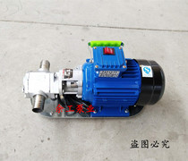 Heavy oil Botou Electric Self-priming Pump WCB-100 75 50 30 Portable Gear Pump Head