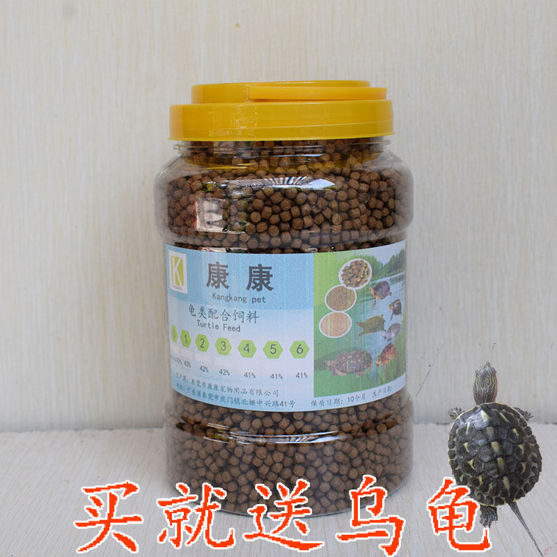 Glass Turtle Food Live Feed Tortoise in Huawei Turtle Grass Turtle in the Huawei Turtle Food Live Turtle Food