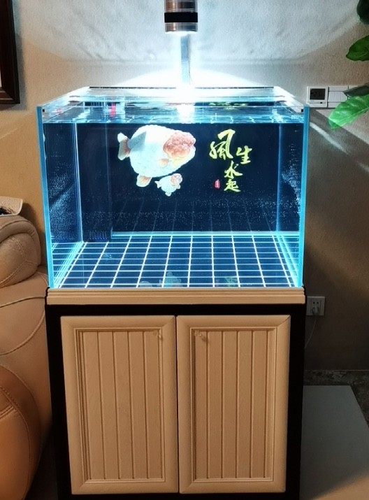 Square cylinder bottom filter ultra-white glass water grass ecological fish tank living room mute small water-free household aquarium