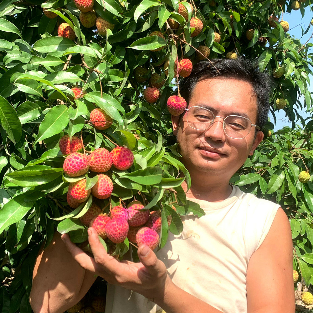 高州小江哥百年荔枝园