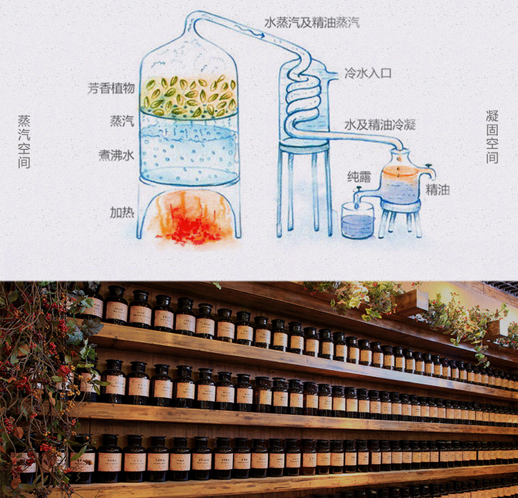 Công chúa buồn rầu Rose Geranium Complex 20ml tinh dầu hương liệu Hydrating Massage mặt dầu tinh chất tinh dầu thơm phòng