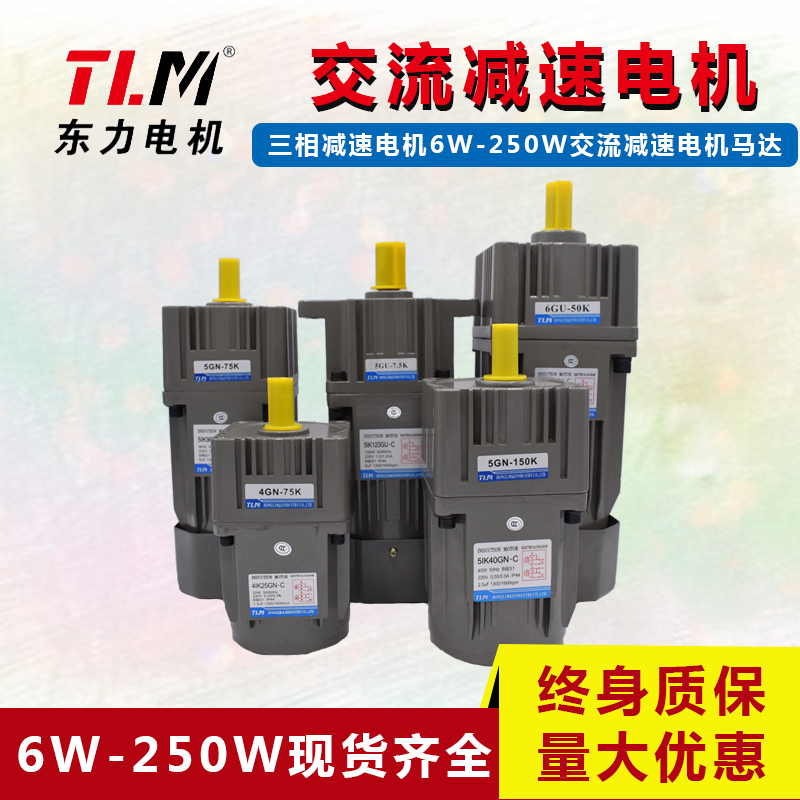 Factory direct sales Dongli gear reducer motor 220V micro small low-speed motor 6W-400W reducer motor