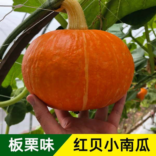 Товары от 程清竺