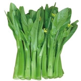 Четырехновые семена овощных овощей Весна, осень и зима, четыре сезона, посеянные семена Гуандун Зеленых овощ