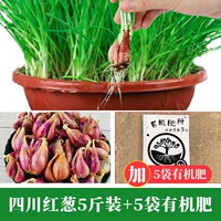 5 фунтов зеленого лука дают 5 упаковок органических удобрений