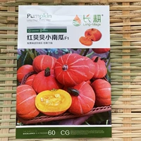 Red Beibei Little Pumpkine 5 график