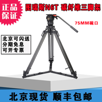 Turis TS-N6T tripod set SLR camera hydraulic head load-bearing 7KG 75MM bowl mouth