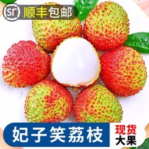 (24 heures Zyda) Spot de coffret cadeau Shunfeng Princesse Shunfeng avec de grands fruits frais de glace de fruits frais