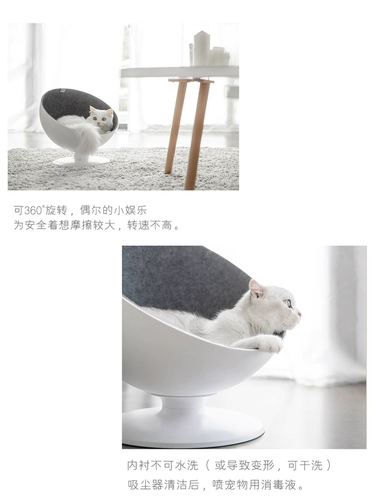 Хвостовая жизнь кошка босс сеть красная кошка Западная половина кошачьего дома Лето Liangwo Space Course