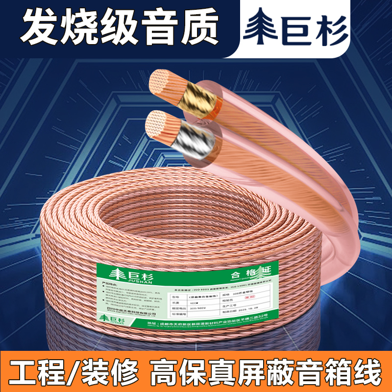 National Standard Pure Copper Shielded Lossless Dedicated Speaker Amplifier Connection Cable Gold and Silver Audio Cable Speaker Audio Broadcast Cable