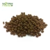 Thức ăn cho chó nguyên chất Thức ăn cho chó nhỏ dành cho chó trưởng thành Teddy luật chiến đấu với chó Keji Thức ăn cho chó tự nhiên không hạt có độ nhạy thấp 2,7kg - Chó Staples hạt smartheart Chó Staples