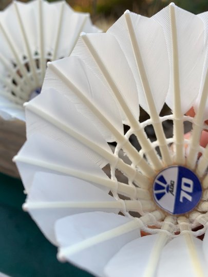 ADC70羽毛球三星中极星 A+60高品质东北鹅毛拉直耐打稳定训练比赛