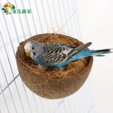 Натуральная кокосовая раковина птичья гнездо гнезд тигр пион попугай специальное маленькое гнездо гнездо ящик для размножения птицы птичья птица Дом птичий дом спальный кровать