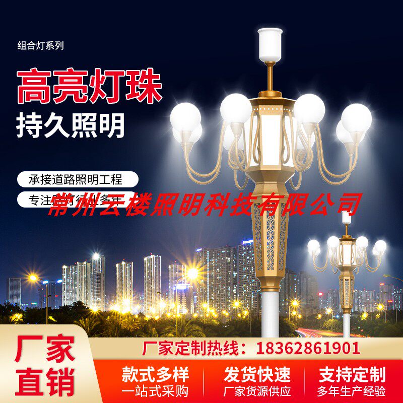 Chinese lights 5 meters 6 meters 9 fires 8 meters 10 meters nine-headed magnolia lights street lights outdoor lights high pole street lights landscape square lights