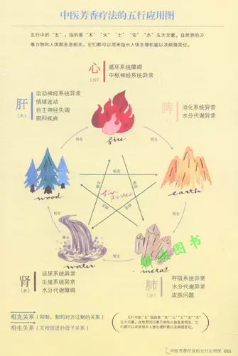 [Подлинная бесплатная доставка] Иллюстрация фигура быстро проверить мою первую китайскую медицину с сокровищами эфирной масля