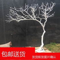 Dry branch Log Dry branch decoration Dry branch Wishing tree Landscaping Interior design Living room window Real branch modeling tree