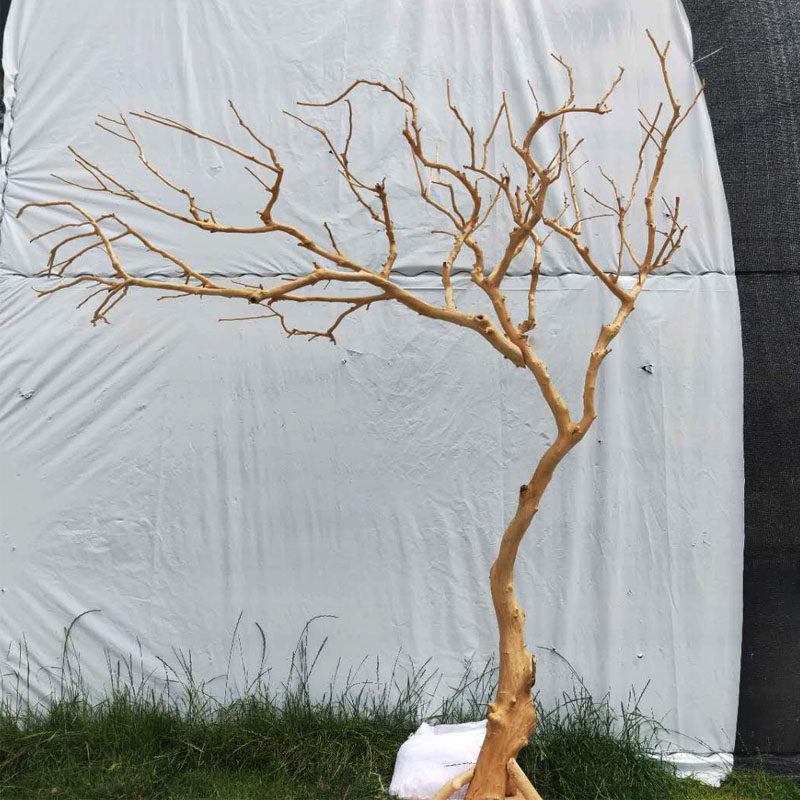 Shanghai dry branch peeled natural color modelling withered tree branches Art creative ornament Home Decorative Trees Floor Pendulum-Taobao