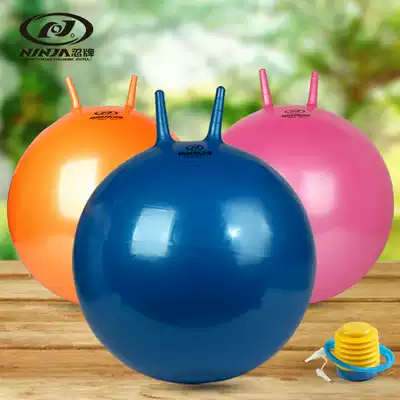 Ninja adult sheep corner ball thickened explosion-proof jumping ball 65cm yoga ball fitness ball sports slimming delivery machine