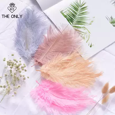 Wei Yi ins Super fairy feathers South African imported ostrich hair wedding shooting props Floral Bouquet decoration decoration