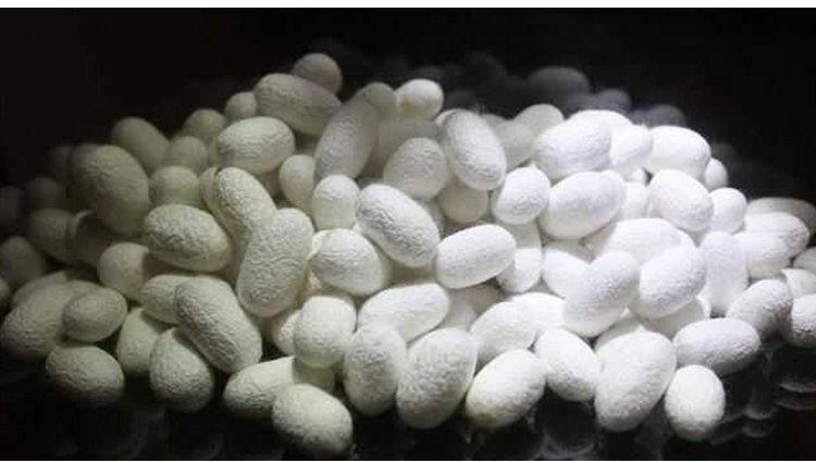 (Deposit) Embroidered silk quilt Shuanggong four seasons pure handmade 100% mulberry silk embroidered quilt core quilt