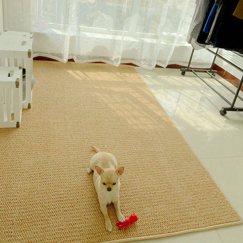 Imitation Sisal Photo-Style Carpet Bedroom Living Room Room Bedside Studio Full Of Large Area Cat Paw Floor Mat