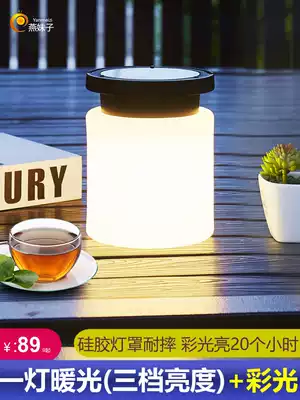 Outdoor solar light home indoor lighting USB charging courtyard decoration garden decoration garden arrangement night light camping
