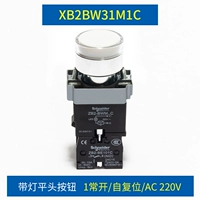 Zb2-bwm ... c белый 1 Обычно открытый 220В