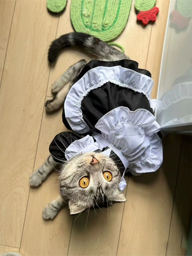 Наряд для любимой горничной кошка собака кошка платье милая одежда кота кошка собака юбка принцесса лолита