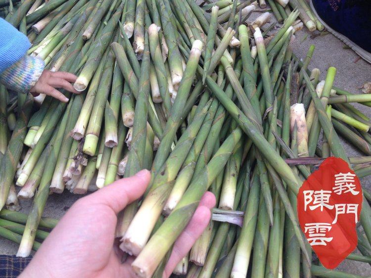 东水竹笋图片,水竹笋图片,水发竹笋图片_大山谷图库