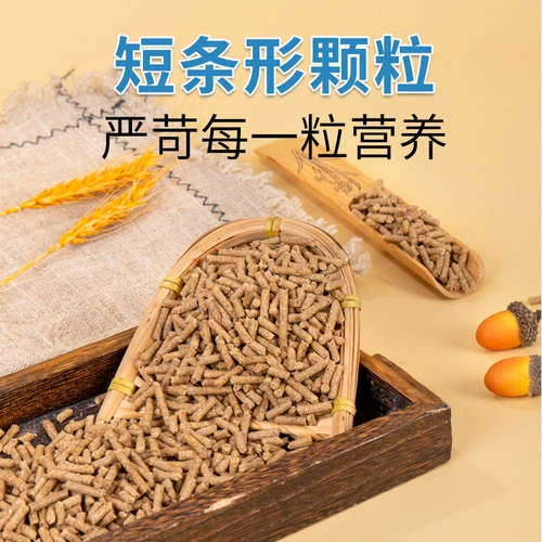 Домашние кролики в кроликов, кроликов, кроликов, голландская свиная пища, кролики 20 фунтов кролика кормит большую сумку 10 кг