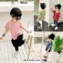 Quần áo trẻ em Tinky cotton màu rắn cổ tròn chạm đáy áo mùa hè mới cho trẻ em áo thun ngắn tay áo sơ mi trẻ em lớn kinh doanh quần áo trẻ em