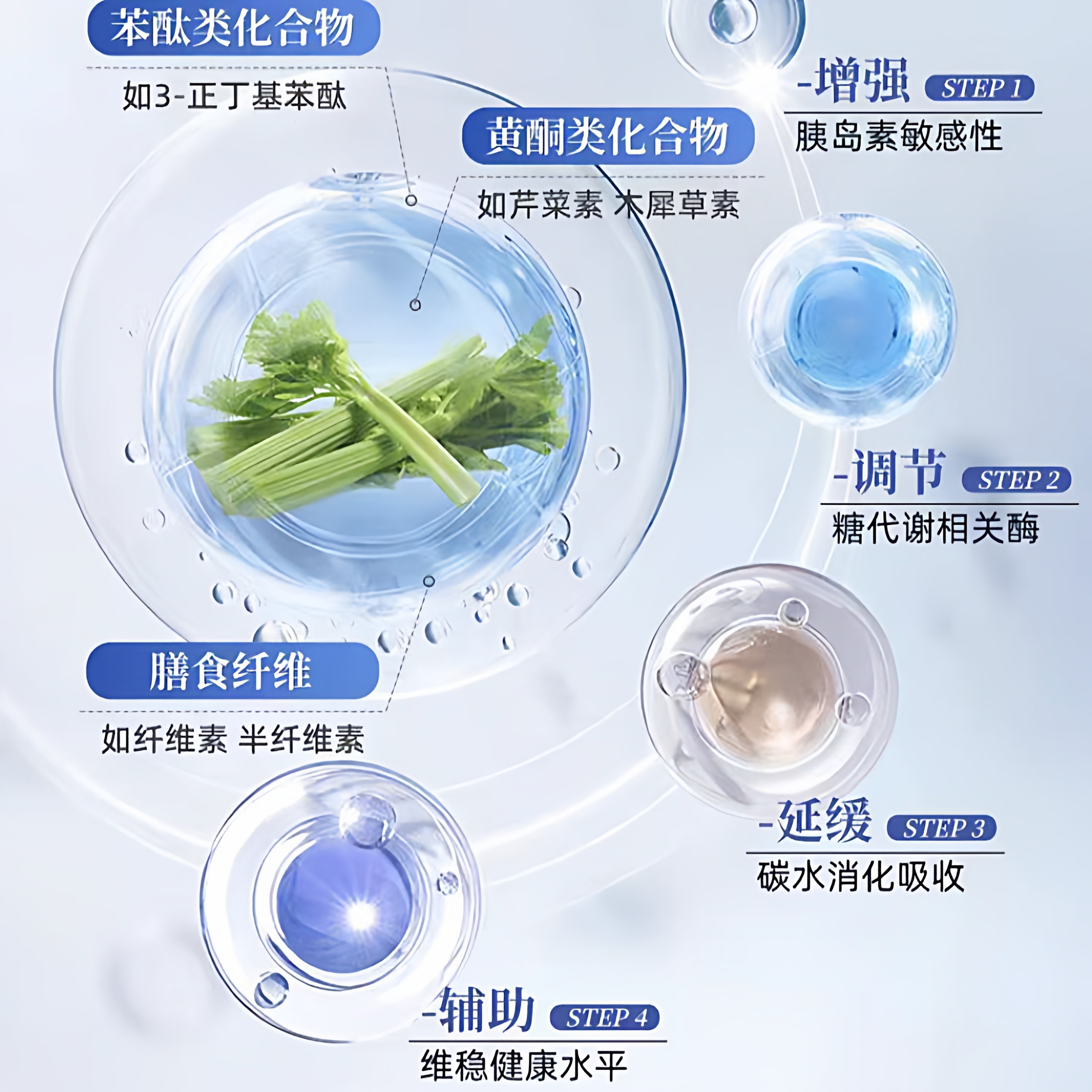 Rapeseed Acid Value Balance Tablets Regulate and Protect Joint Crystal Metabolism for Middle-Aged and Elderly People 4Tl