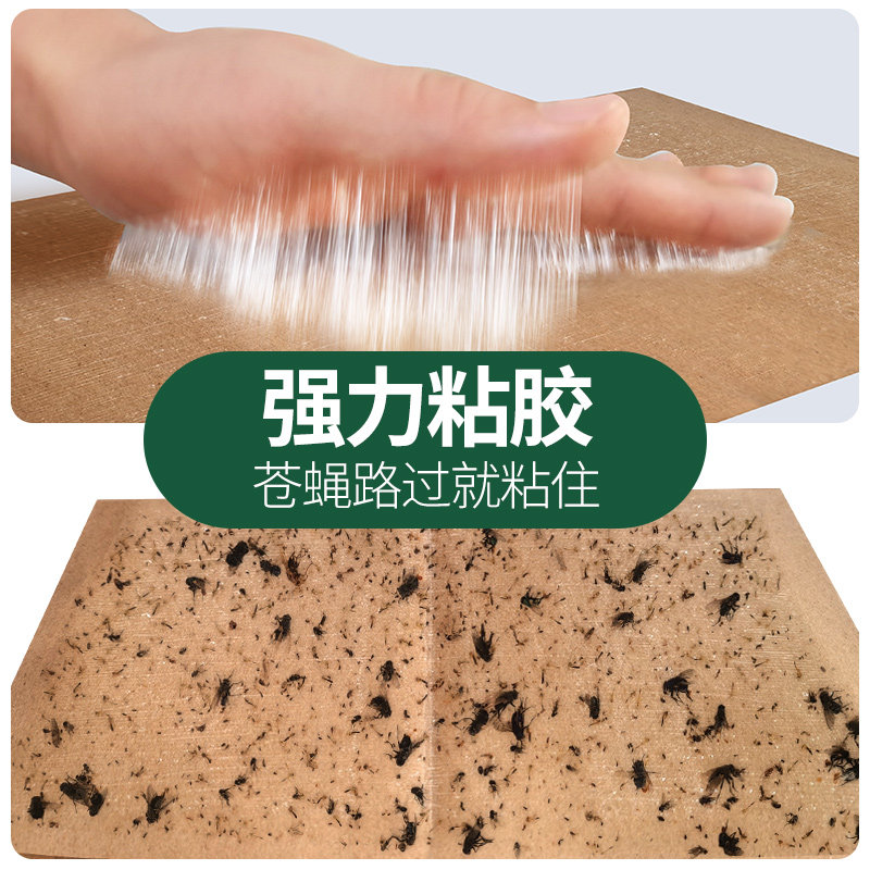 如何高效去除粘蝇板上的胶?-商品-淘宝百科网