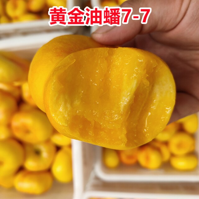 蜜桃之家生鲜店的LOGO
