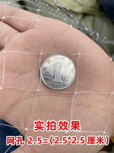 Анти -бирд -садовый фруктовый дерево вишневый дерево виноградный виноградный зеленый сара