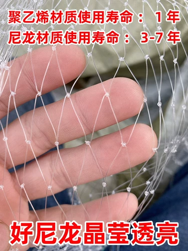 Анти -бирд -садовый фруктовый дерево вишневый дерево виноградный виноградный зеленый сара