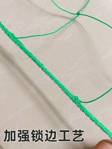 Садоводство восхождение на сеть посадки сети луны сети луны